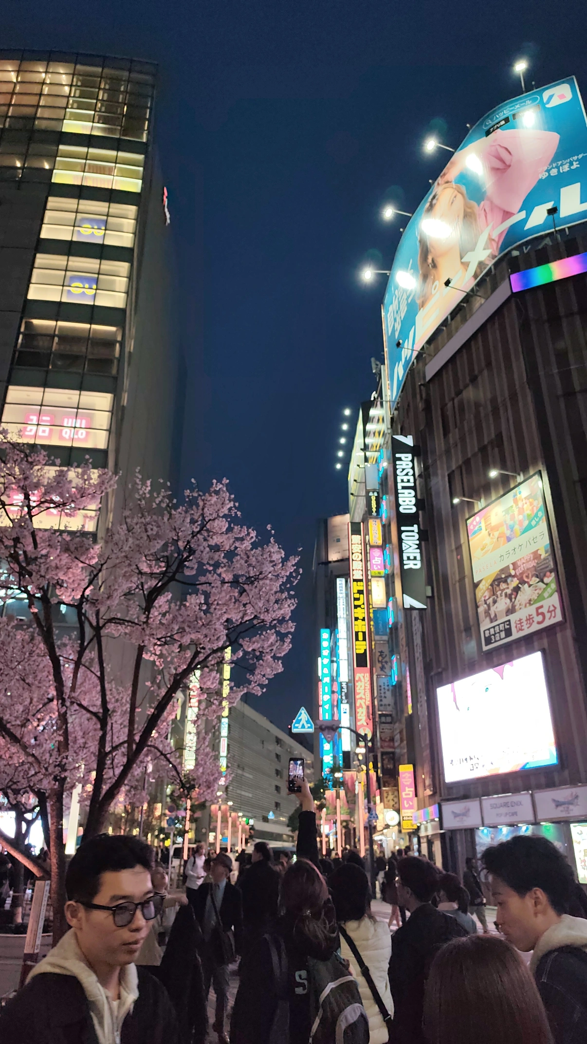 Ruelle résidentielle de Tokyo au crépuscule, lanternes allumées dans un quartier calme
